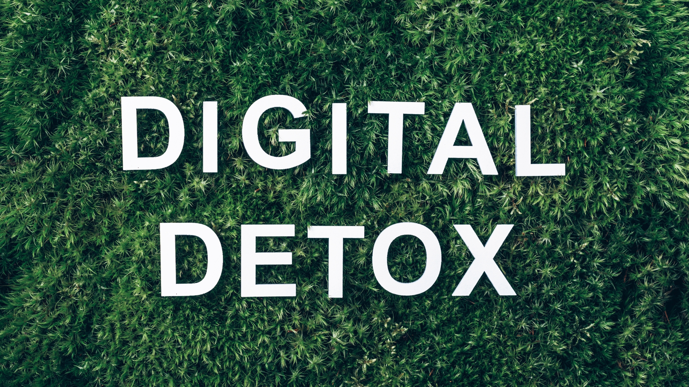 How Disengaging With Social Media Will Change Your Life!