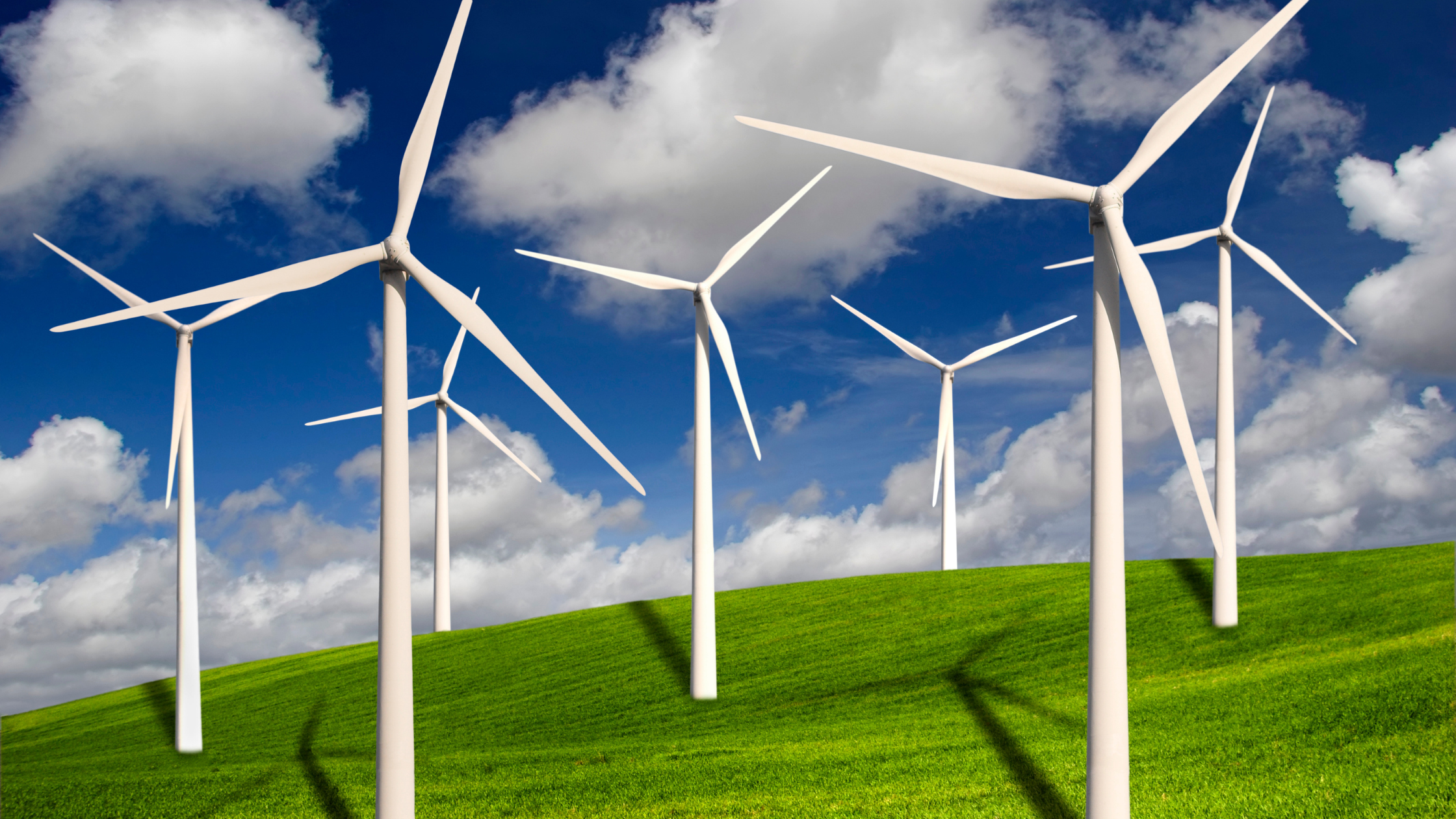 Harvest Your Good: 7 Things To Release Into The Wind
