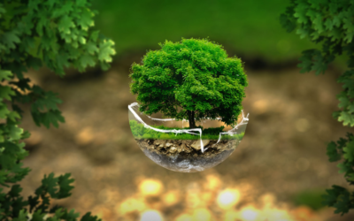 Nobody Is More Interested In Your Happiness Than You. Start Living Intentionally.