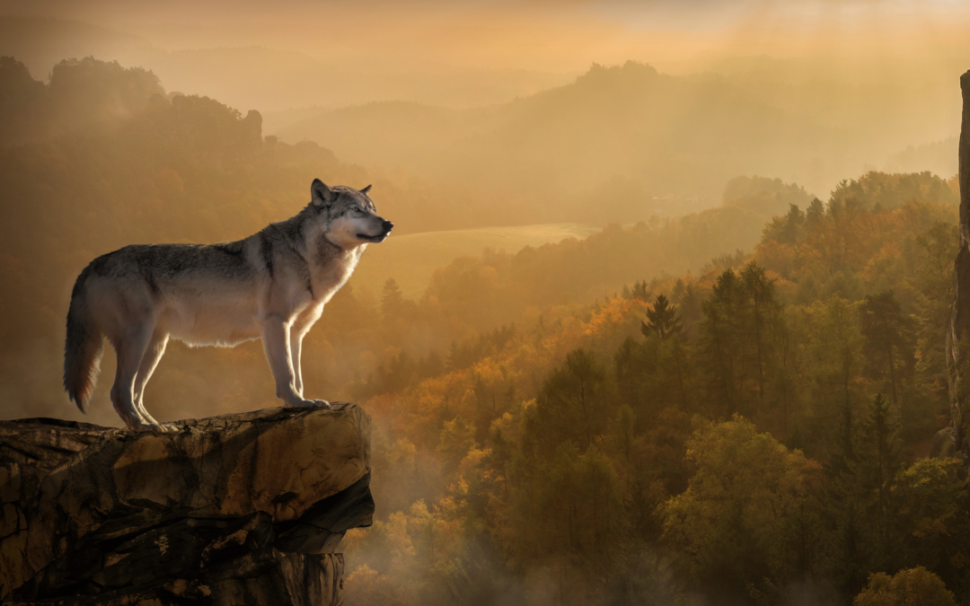 People Skills Will Separate You From the Pack …