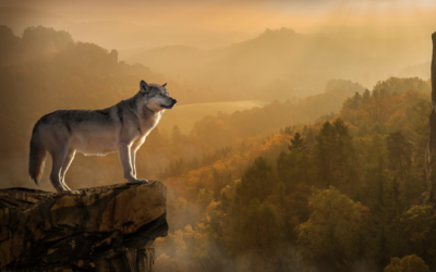 People Skills Will Separate You From the Pack …