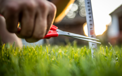 The Great Lie of Trying To Be A Perfectionist