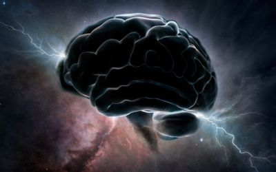 What Made You Smarter Recently?