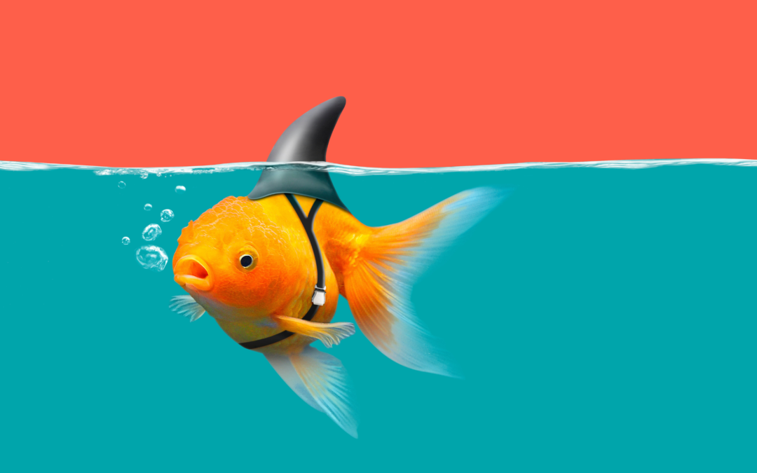 Boosting Your Habit Mojo: Mastering the Momentum
