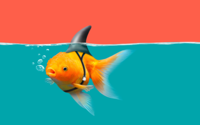 Boosting Your Habit Mojo: Mastering the Momentum